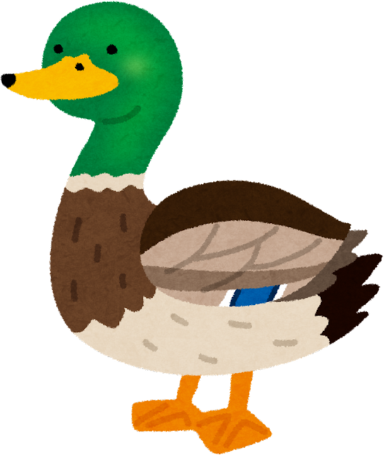 Illustration of a Mallard Duck with Green Head and Yellow Beak